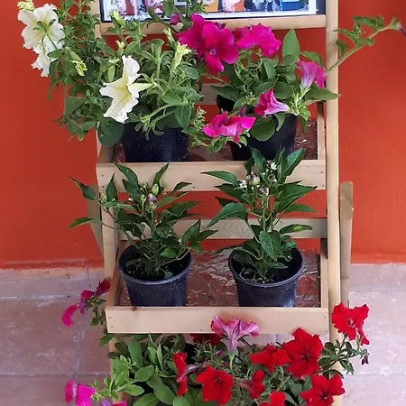 Διαμέρισμα Gradma Katina Platanés